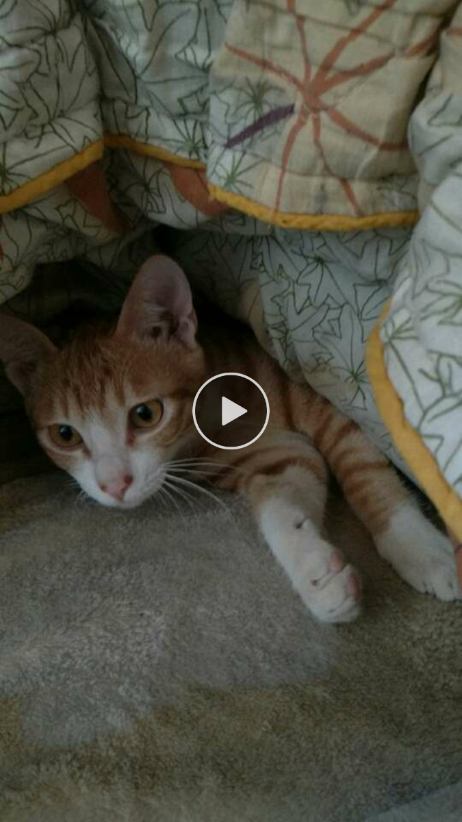 Screenshot_2017-01-23-19-20-10-81.png