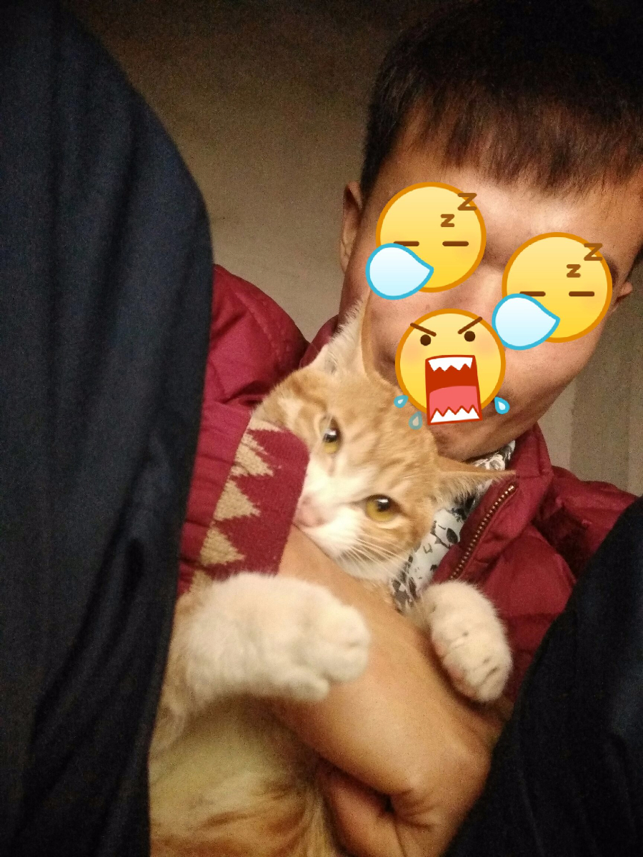 qq_pic_merged_1484474469109.jpg