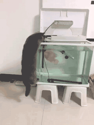 e46f01ce9c9c6e9499773033b1992eb4.gif