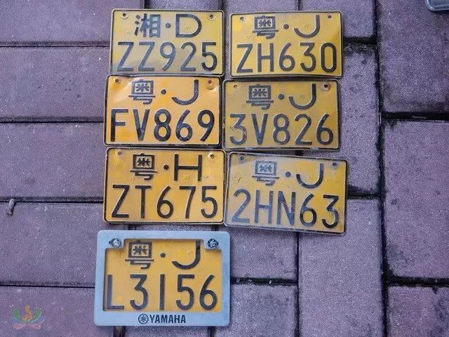 2017361488788797768_55.jpg