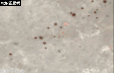 b2543fcb1e39292e272500f953fb8700.gif