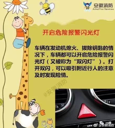 c4e8a66df1780d3fe75801c408b2cdc0.jpg
