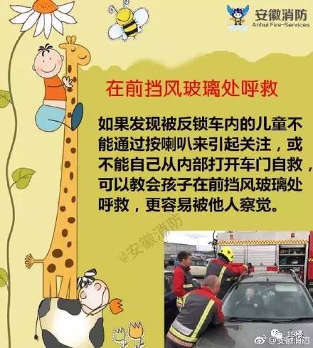 87427edcb6d779bd196c3679efc0ee80.jpg