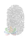 c5acf86a8c44b2acfaa7304ef0500433.png