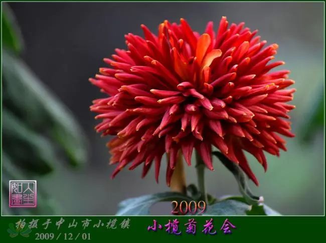 3c3b679a60360899c334ac1be85775a4.jpg