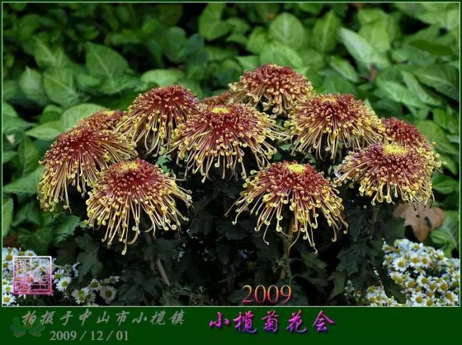 aab864d239cb10d6a8289b94e0026ecd.jpg