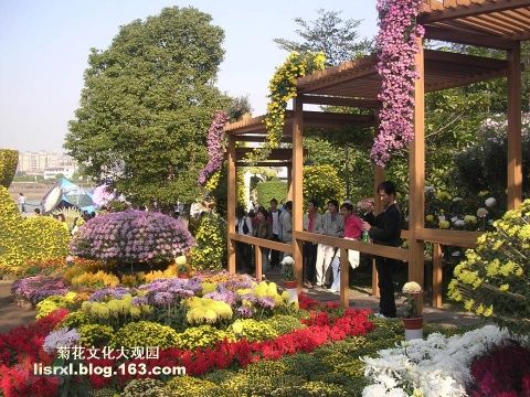 da89dd23bb9f71fcbf53316afbf604f2.jpg
