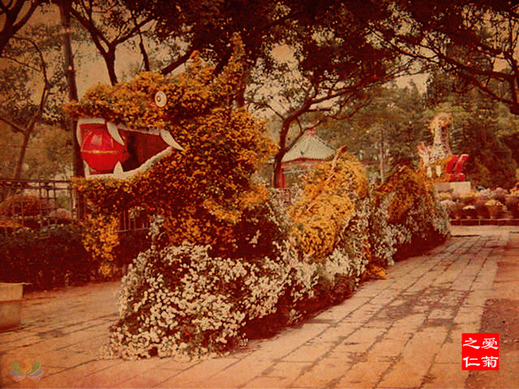 579556977064464088.gif