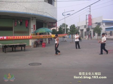 3171941512554269427.jpg