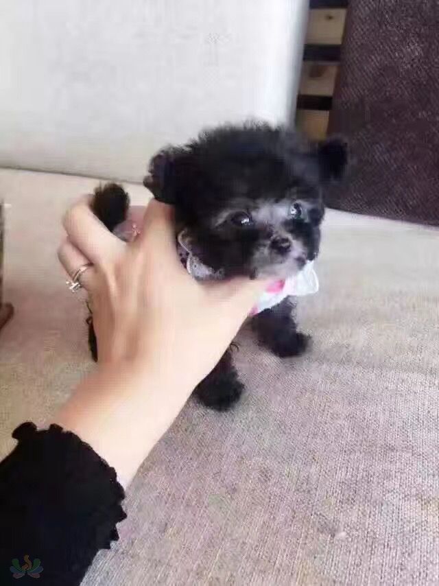 微信图片_20180528183555.jpg