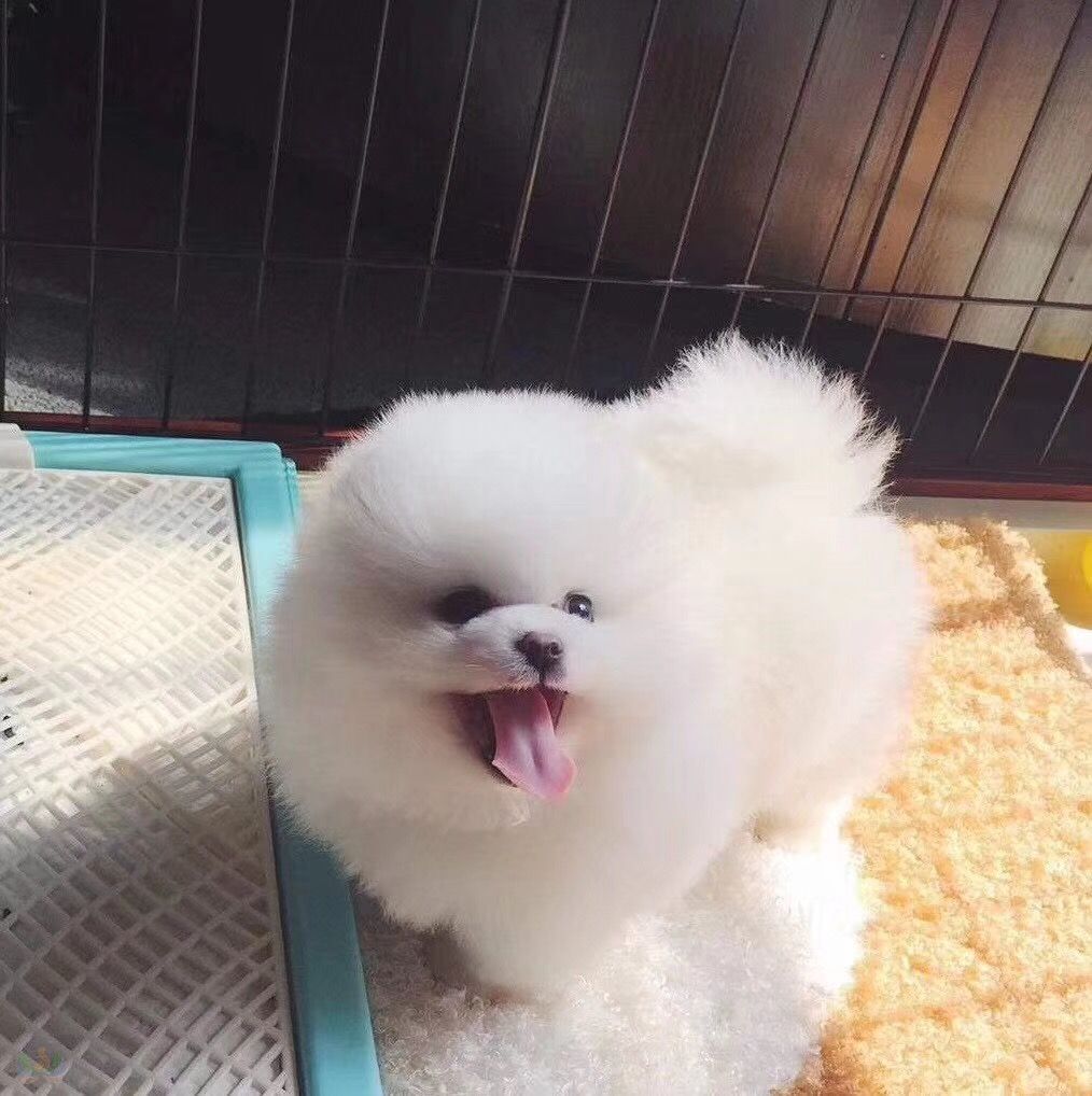 微信图片_20180528171328.jpg
