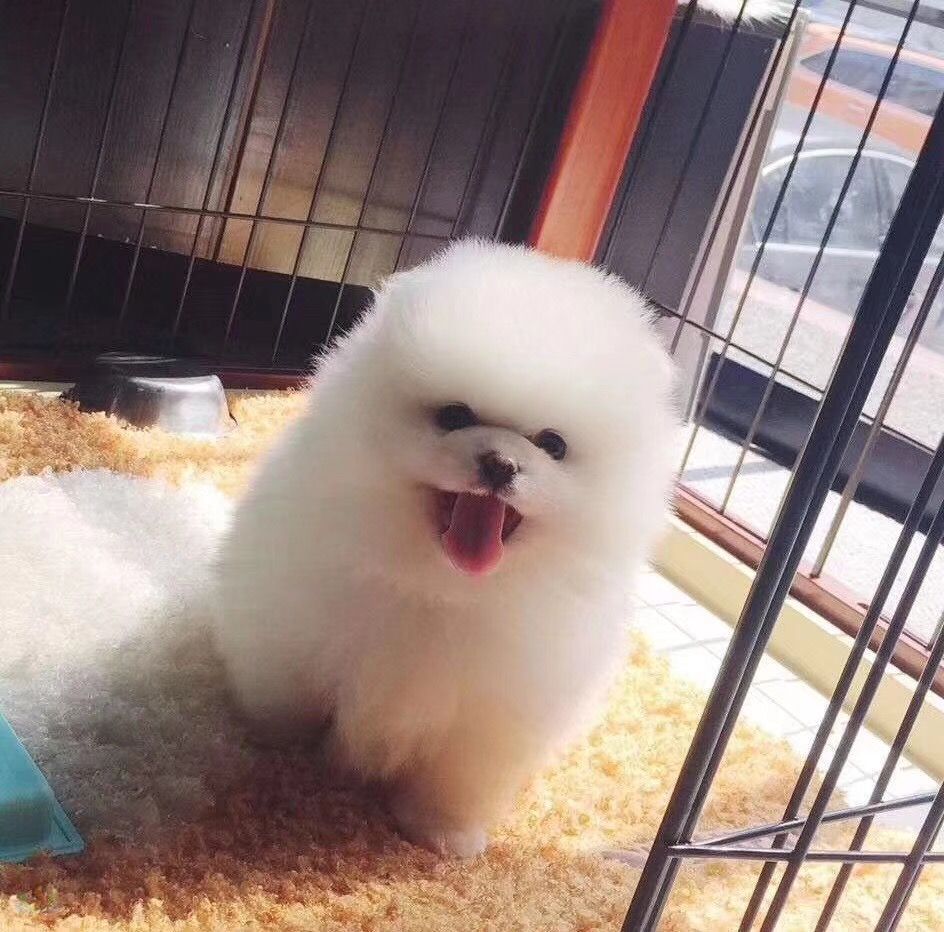 微信图片_20180528171316.jpg