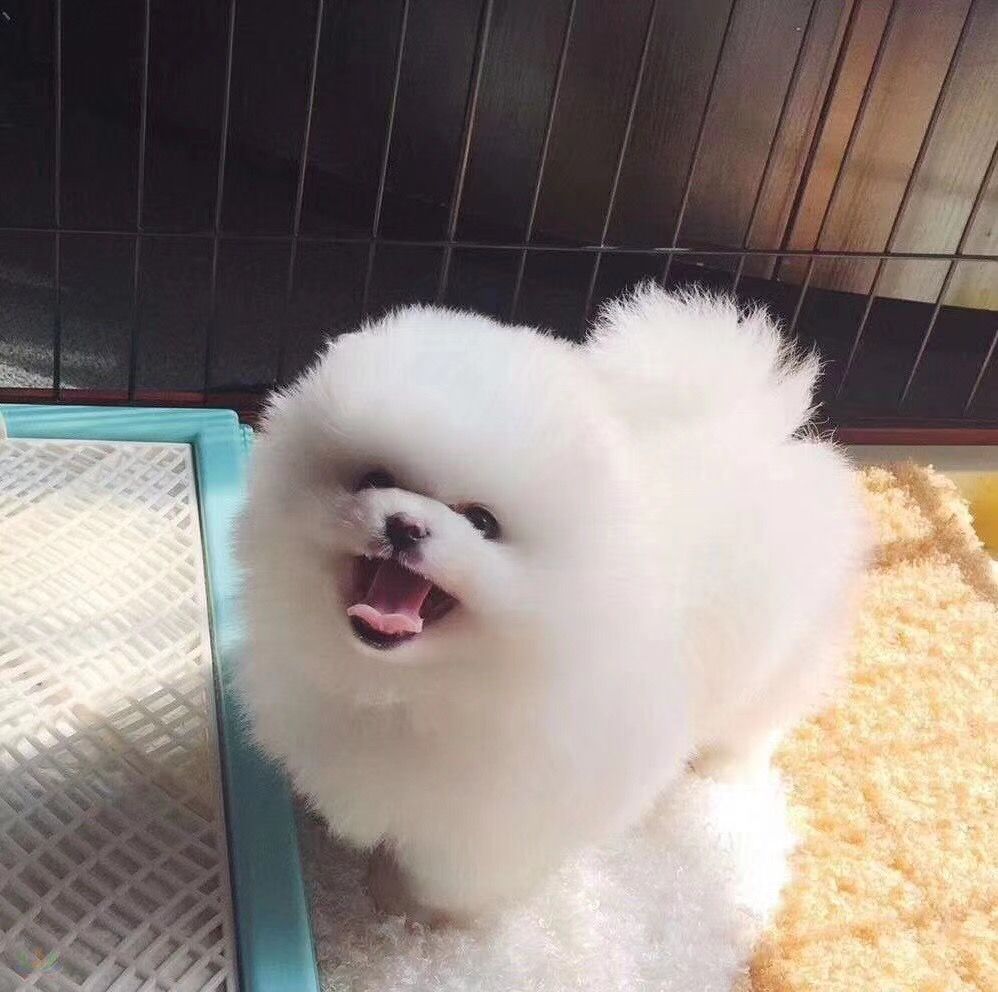 微信图片_20180528171332.jpg