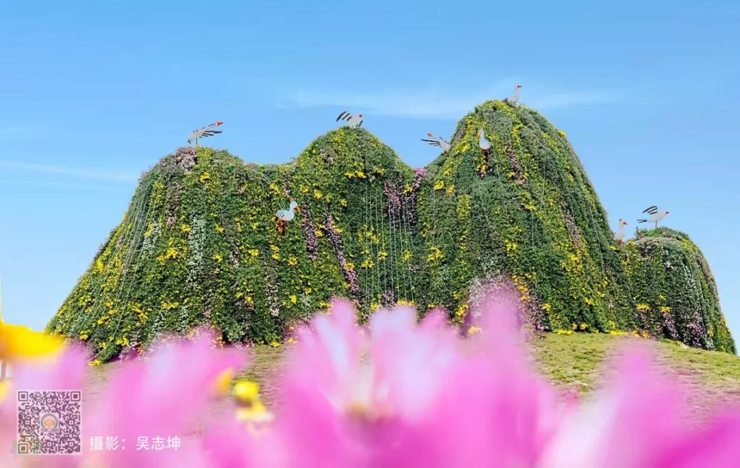 b02293834ce59cd2378c6a81c8278ddc.jpg
