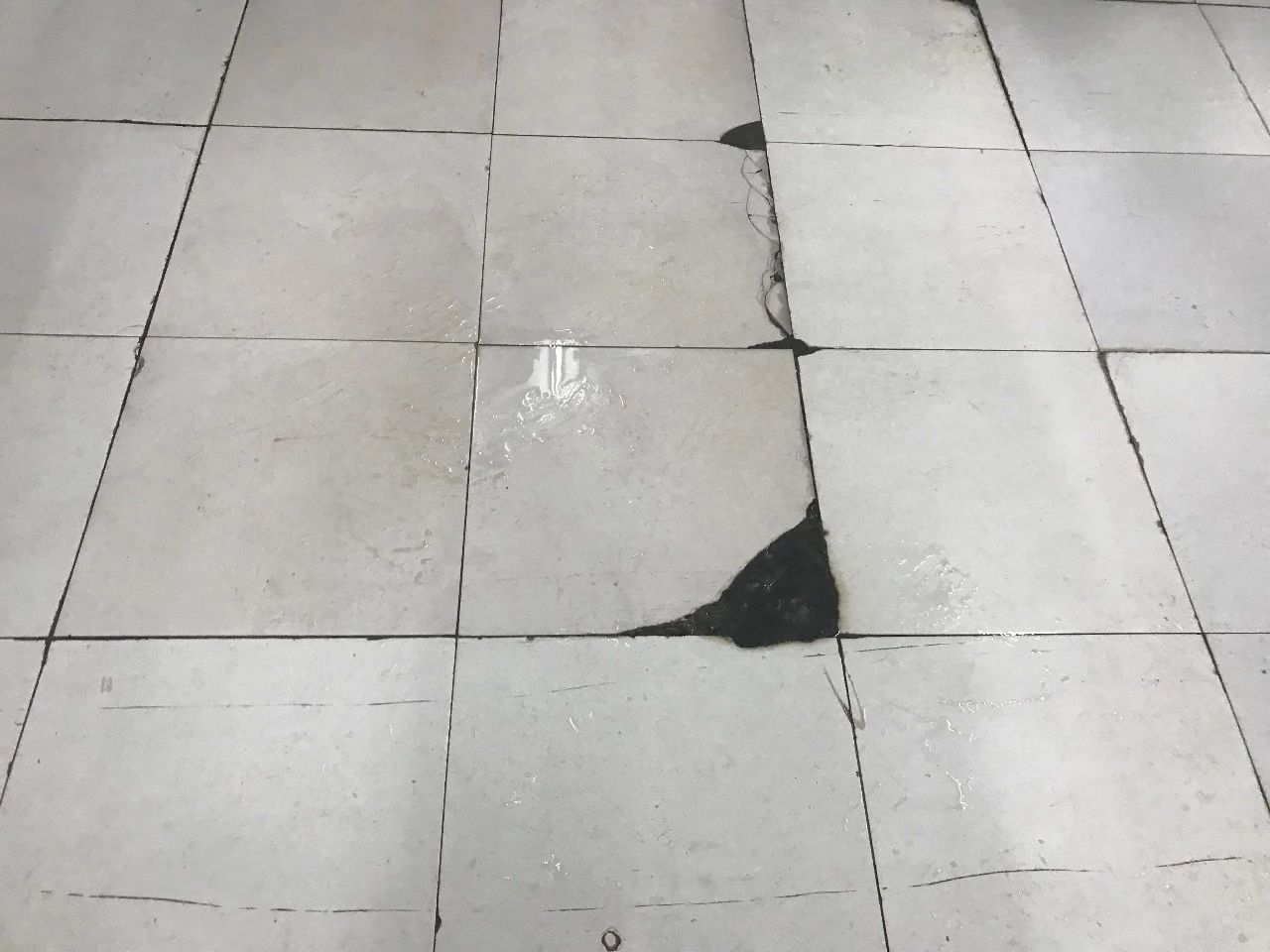 a0bdb4e439fd7474754c13e785a8eec3.jpg