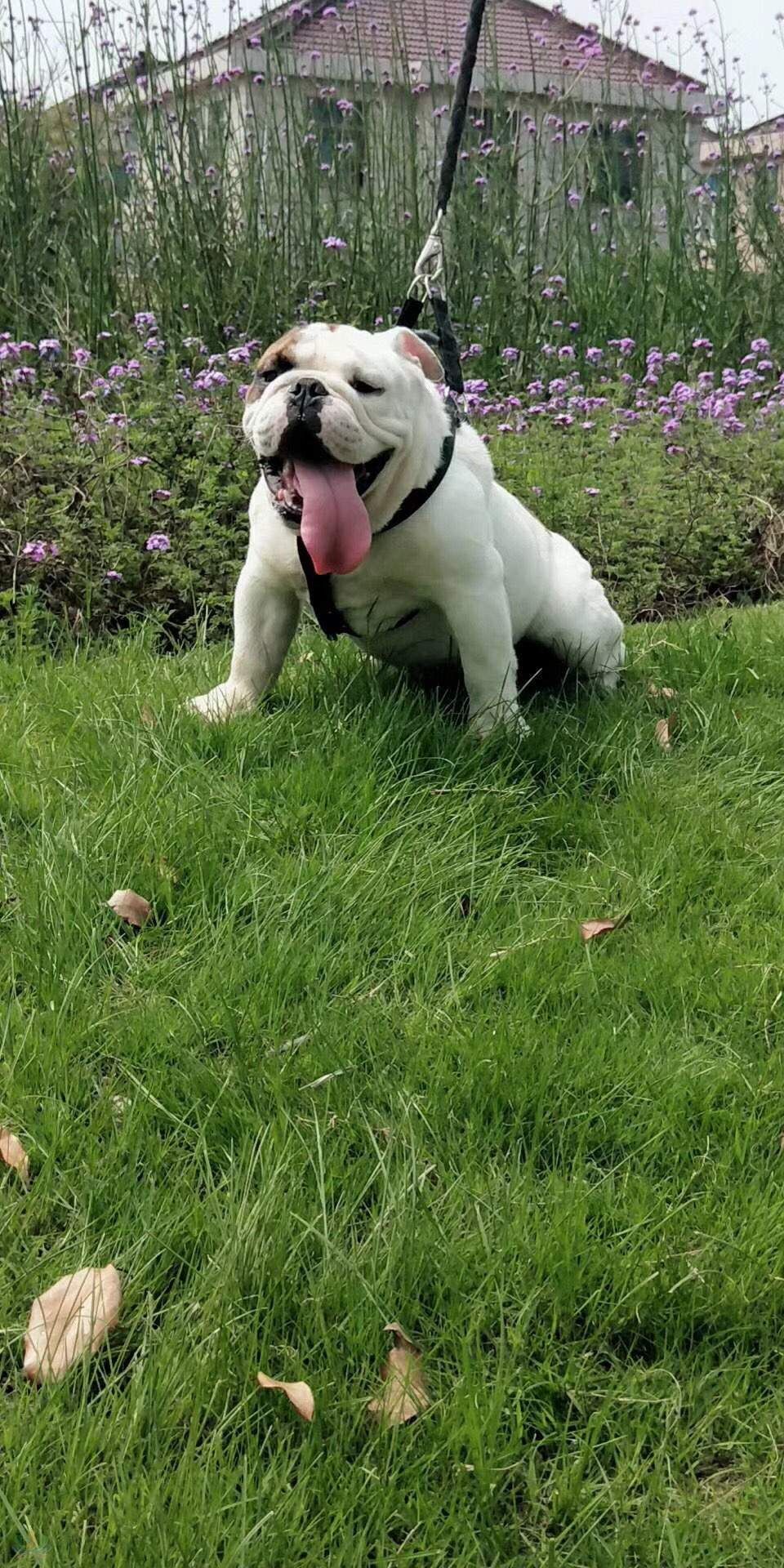 微信图片_20180505172324.jpg