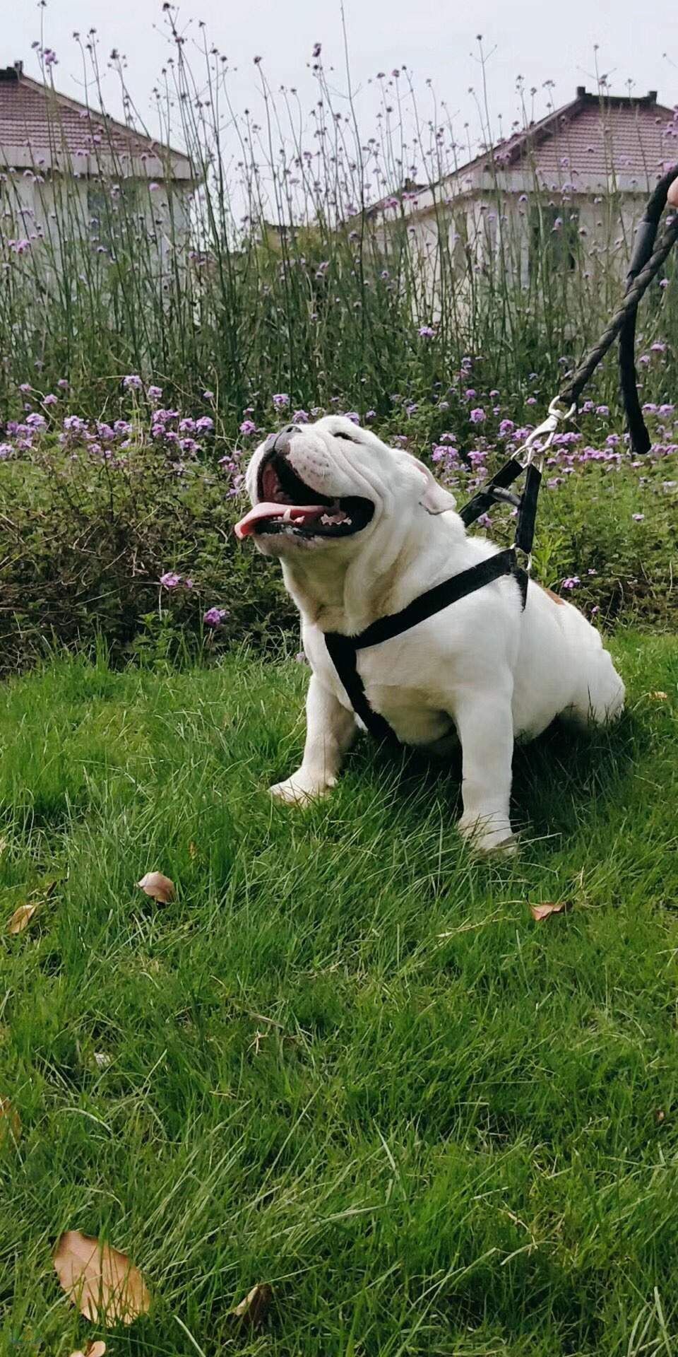 微信图片_20180505172327.jpg