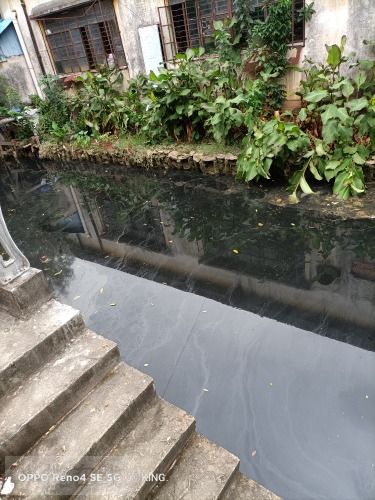 IMG20201014114109.jpg