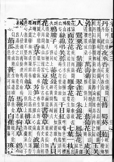 xiaolan2.jpg