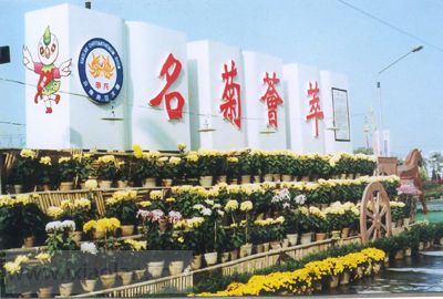 xiaolan05.jpg