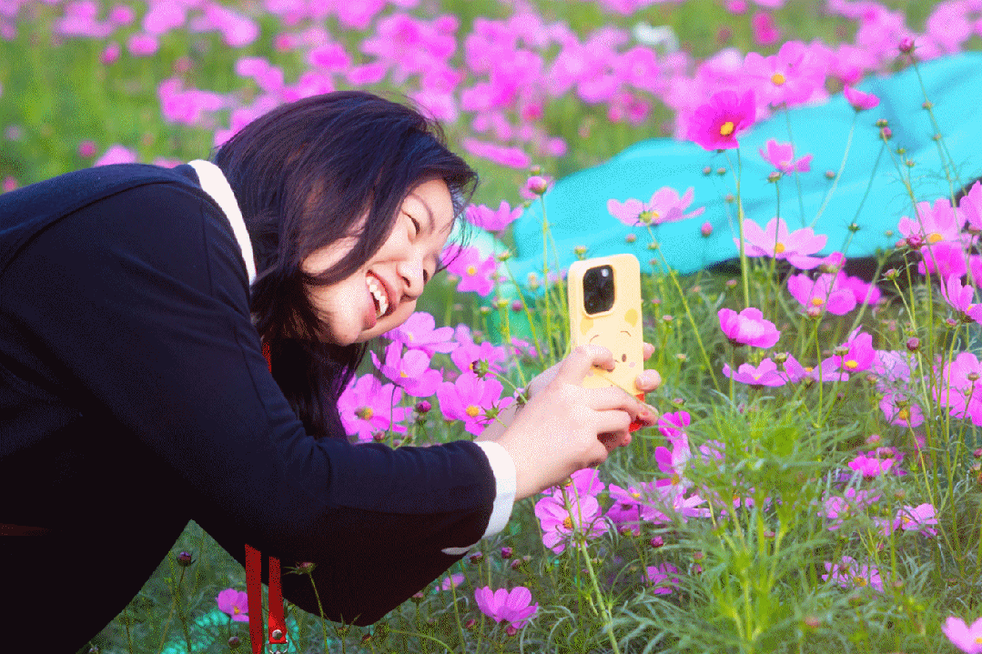 5da376cc7795cb7a95713785409fb719.gif