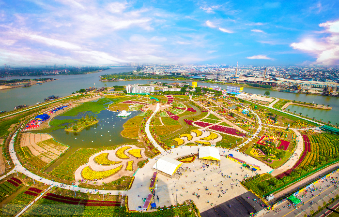 菊花会全景（陈健鸿）