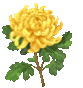 79c46bef3481312db2fb61f4f2cc6947.gif